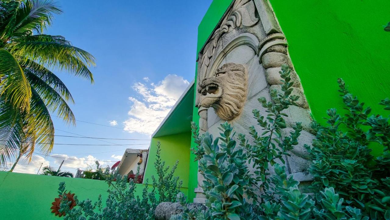 Villa Leo Cancun Downtown Dış mekan fotoğraf