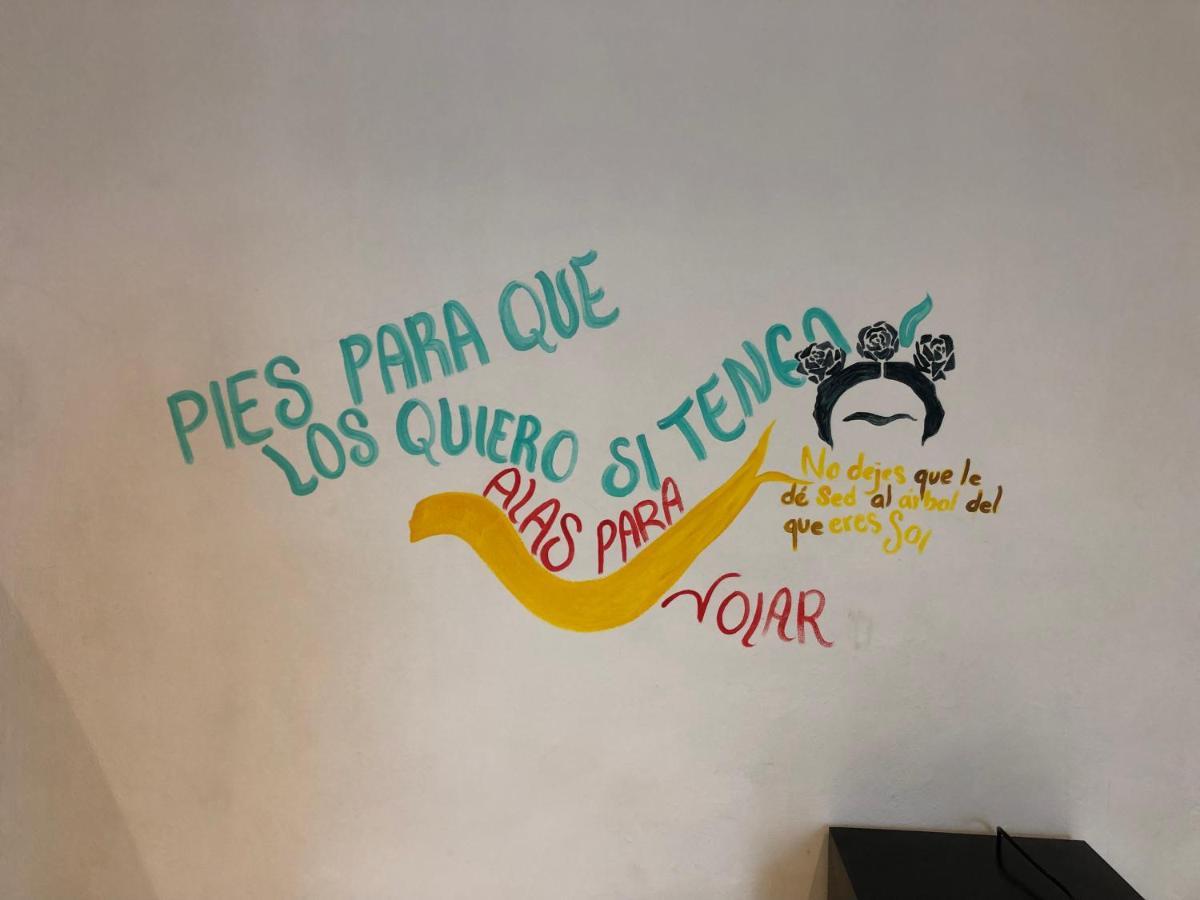 Villa Leo Cancun Downtown Dış mekan fotoğraf